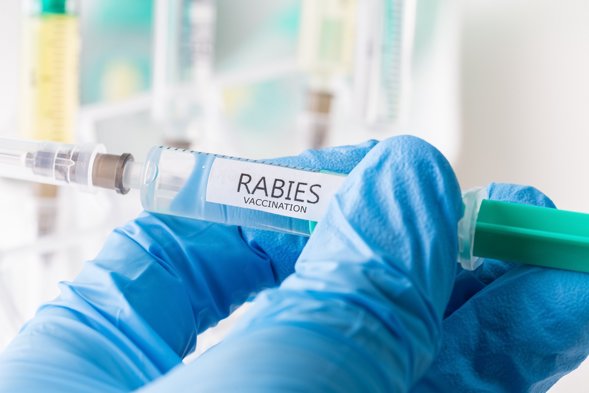 1000 days of life — CME course