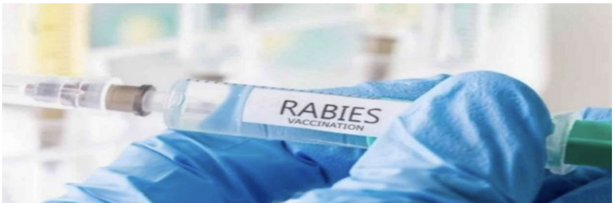 Rabies vaccination